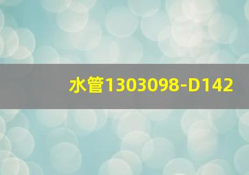 水管1303098-D142