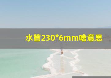 水管230*6mm啥意思