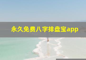 永久免费八字排盘宝app