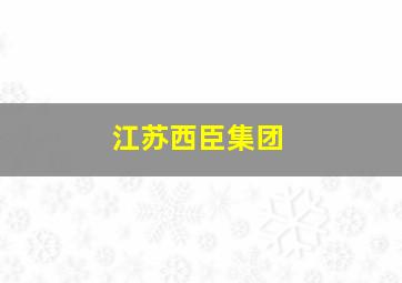 江苏西臣集团