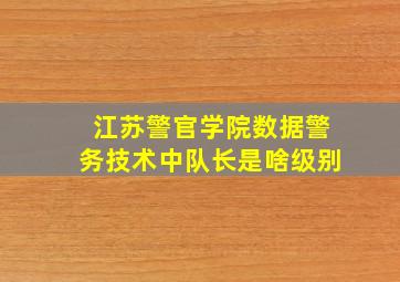 江苏警官学院数据警务技术中队长是啥级别