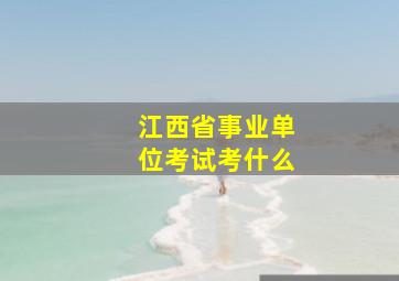 江西省事业单位考试考什么