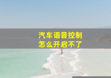 汽车语音控制怎么开启不了