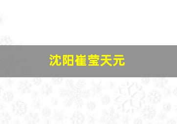 沈阳崔莹天元