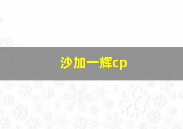 沙加一辉cp