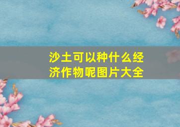 沙土可以种什么经济作物呢图片大全