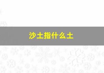 沙土指什么土