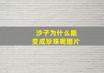 沙子为什么能变成珍珠呢图片