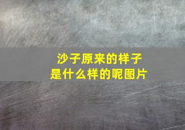 沙子原来的样子是什么样的呢图片