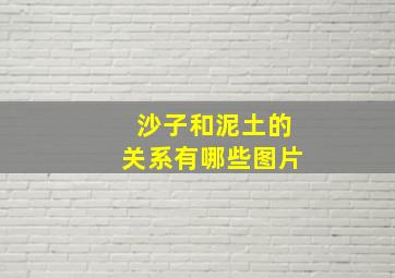 沙子和泥土的关系有哪些图片