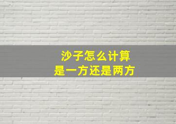 沙子怎么计算是一方还是两方