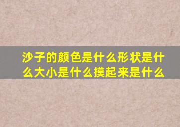 沙子的颜色是什么形状是什么大小是什么摸起来是什么