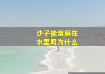 沙子能溶解在水里吗为什么