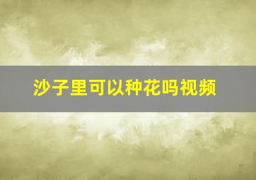 沙子里可以种花吗视频