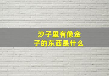 沙子里有像金子的东西是什么