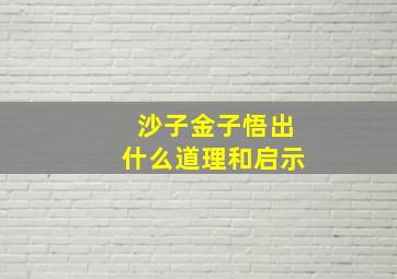 沙子金子悟出什么道理和启示