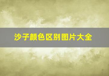 沙子颜色区别图片大全