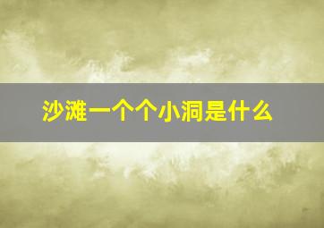 沙滩一个个小洞是什么