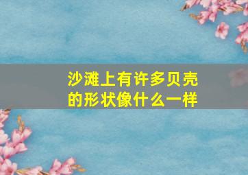 沙滩上有许多贝壳的形状像什么一样