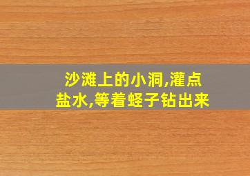 沙滩上的小洞,灌点盐水,等着蛏子钻出来