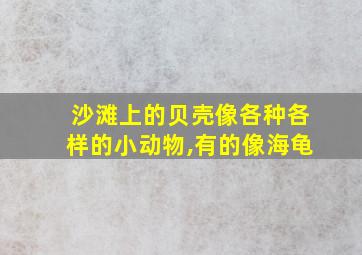 沙滩上的贝壳像各种各样的小动物,有的像海龟