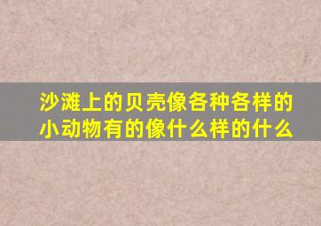 沙滩上的贝壳像各种各样的小动物有的像什么样的什么