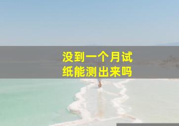 没到一个月试纸能测出来吗