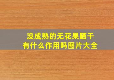 没成熟的无花果晒干有什么作用吗图片大全