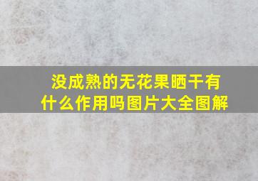 没成熟的无花果晒干有什么作用吗图片大全图解