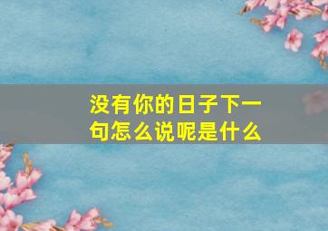 没有你的日子下一句怎么说呢是什么