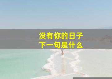 没有你的日子下一句是什么