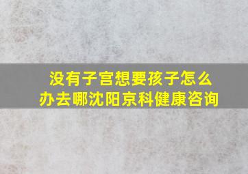 没有子宫想要孩子怎么办去哪沈阳京科健康咨询