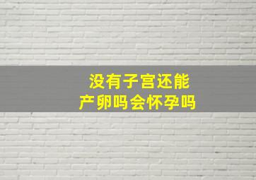 没有子宫还能产卵吗会怀孕吗