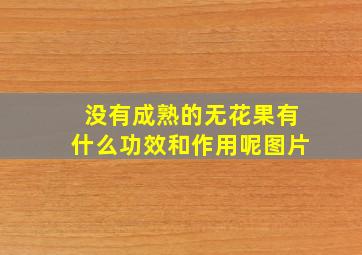 没有成熟的无花果有什么功效和作用呢图片