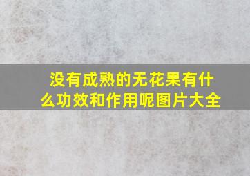 没有成熟的无花果有什么功效和作用呢图片大全