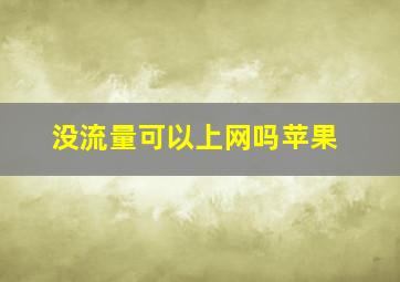 没流量可以上网吗苹果