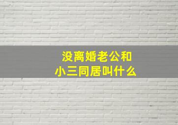 没离婚老公和小三同居叫什么