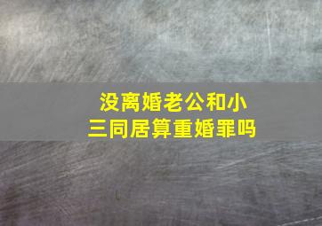 没离婚老公和小三同居算重婚罪吗