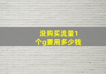 没购买流量1个g要用多少钱