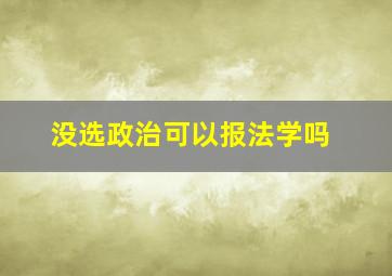 没选政治可以报法学吗