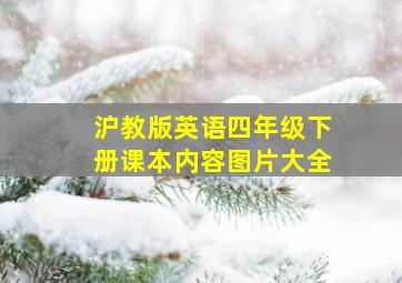 沪教版英语四年级下册课本内容图片大全