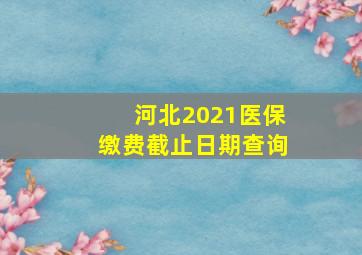 河北2021医保缴费截止日期查询