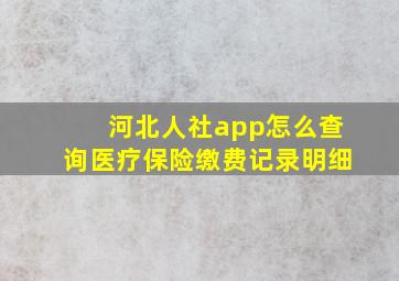 河北人社app怎么查询医疗保险缴费记录明细