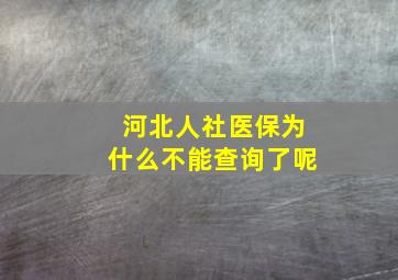 河北人社医保为什么不能查询了呢