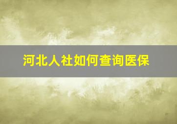 河北人社如何查询医保