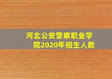 河北公安警察职业学院2020年招生人数