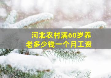 河北农村满60岁养老多少钱一个月工资