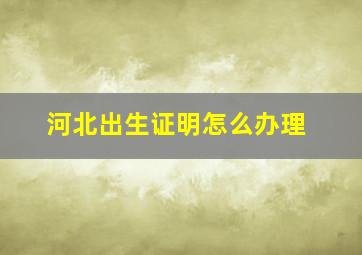 河北出生证明怎么办理