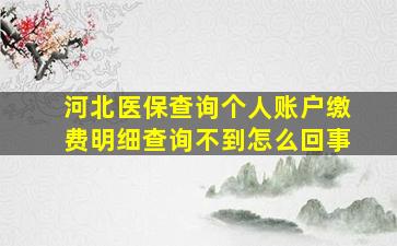 河北医保查询个人账户缴费明细查询不到怎么回事