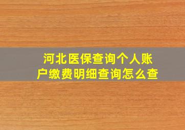 河北医保查询个人账户缴费明细查询怎么查